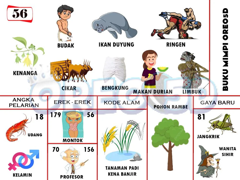 buku mimpi erek erek togel 56